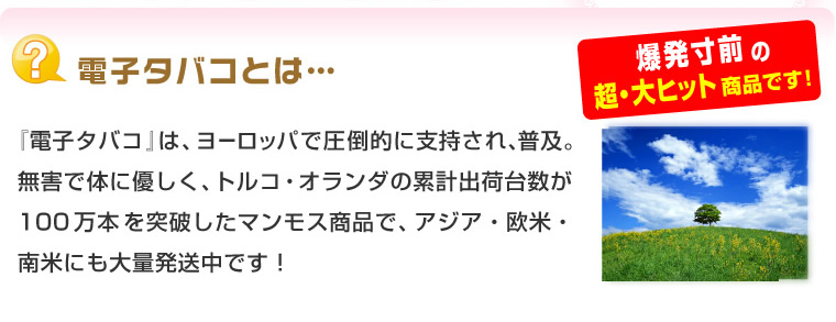 �Żҥ��Х���TaEco(������)