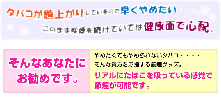 �Żҥ��Х���TaEco(������)